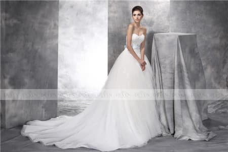 Sleeveless Embroidery LaStrapless Lace Applique Illusion She